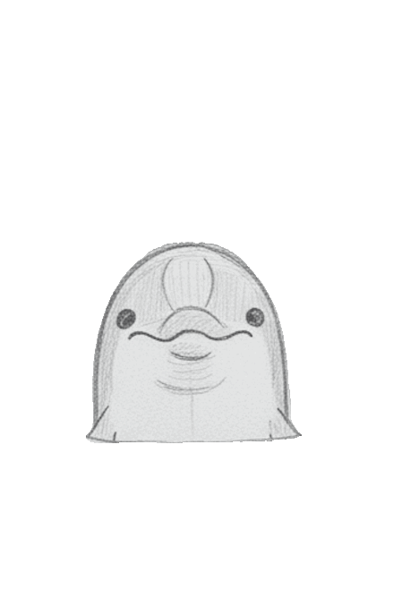 Dolphin GIF